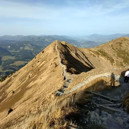 Bergnescht * Oberstdorf