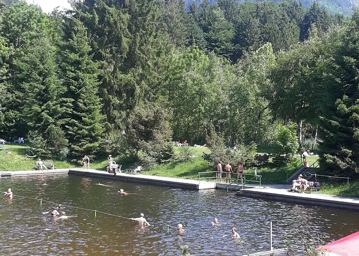 Bergnescht
